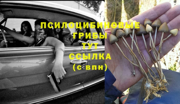 соль ск Алзамай
